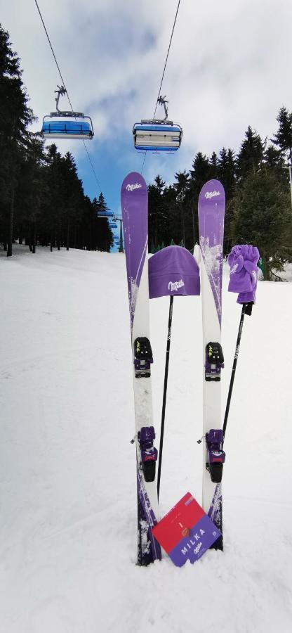 Apartment Milka W Dusznikach Zdroju Duszniki Zdroj